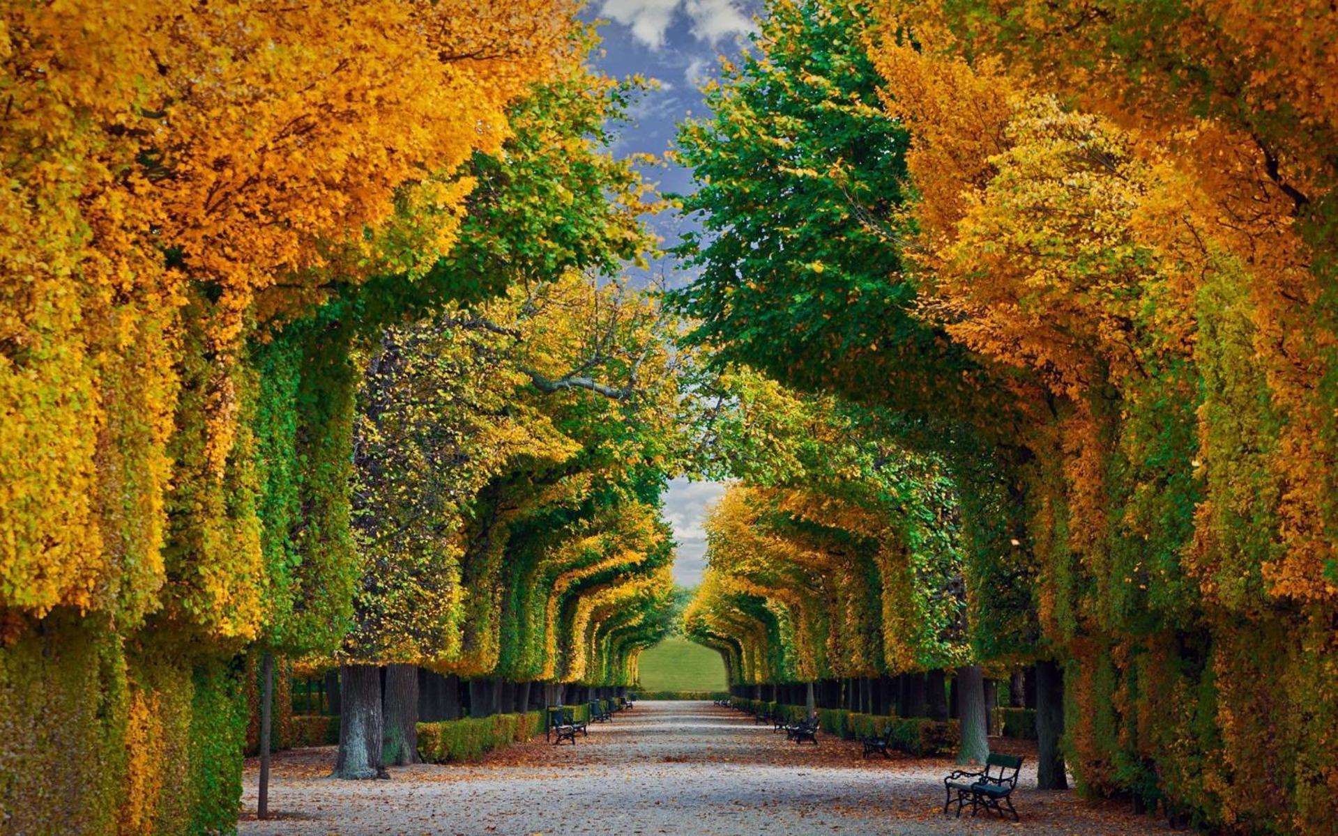Imperial Schoenbrunn Stays Wien Eksteriør billede